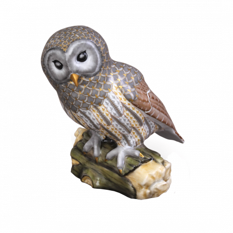 Gray barred owl
